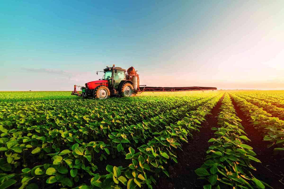 Produção agrícola e parceiros da cadeia agroindustrial